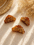 Pince croissant