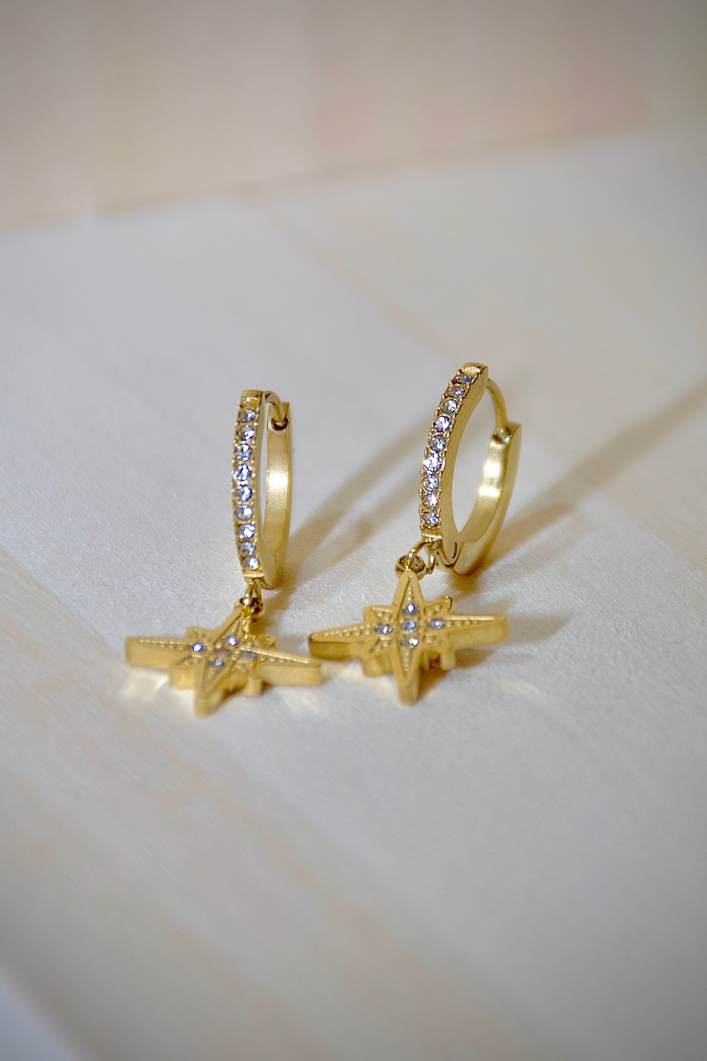 Boucles d'oreilles scintillantes