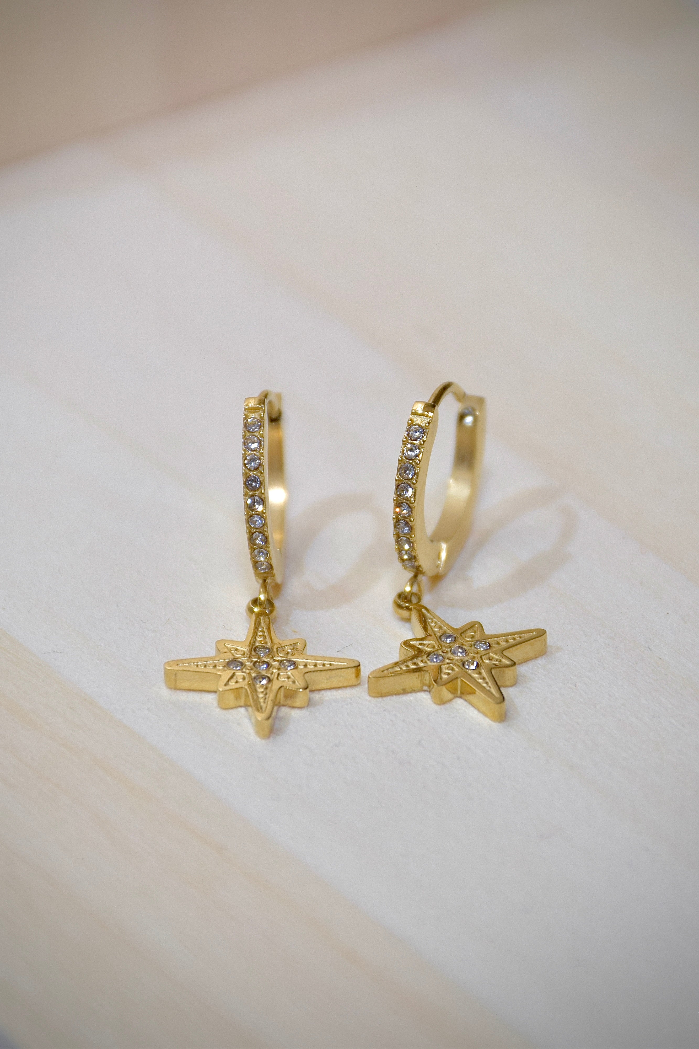 Boucles d'oreilles scintillantes