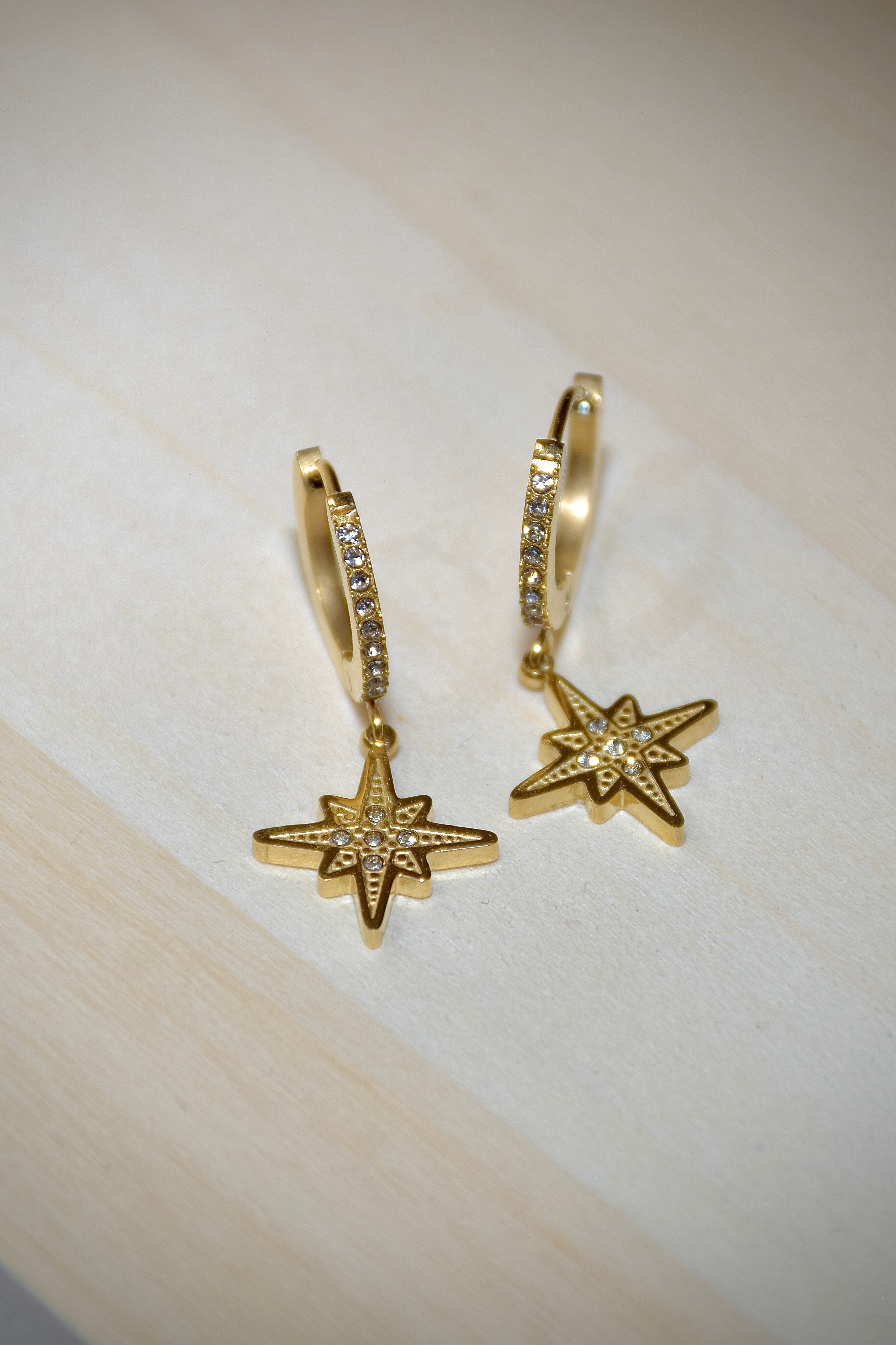 Boucles d'oreilles scintillantes